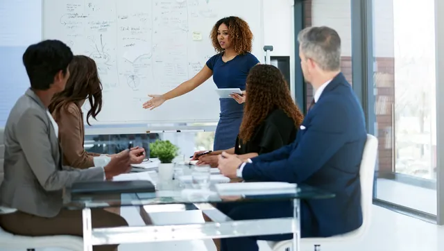 Founder presenting a business plan to colleagues